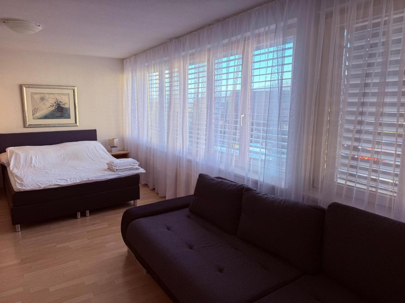 Sass Aparthotel Schonenwerd Екстер'єр фото