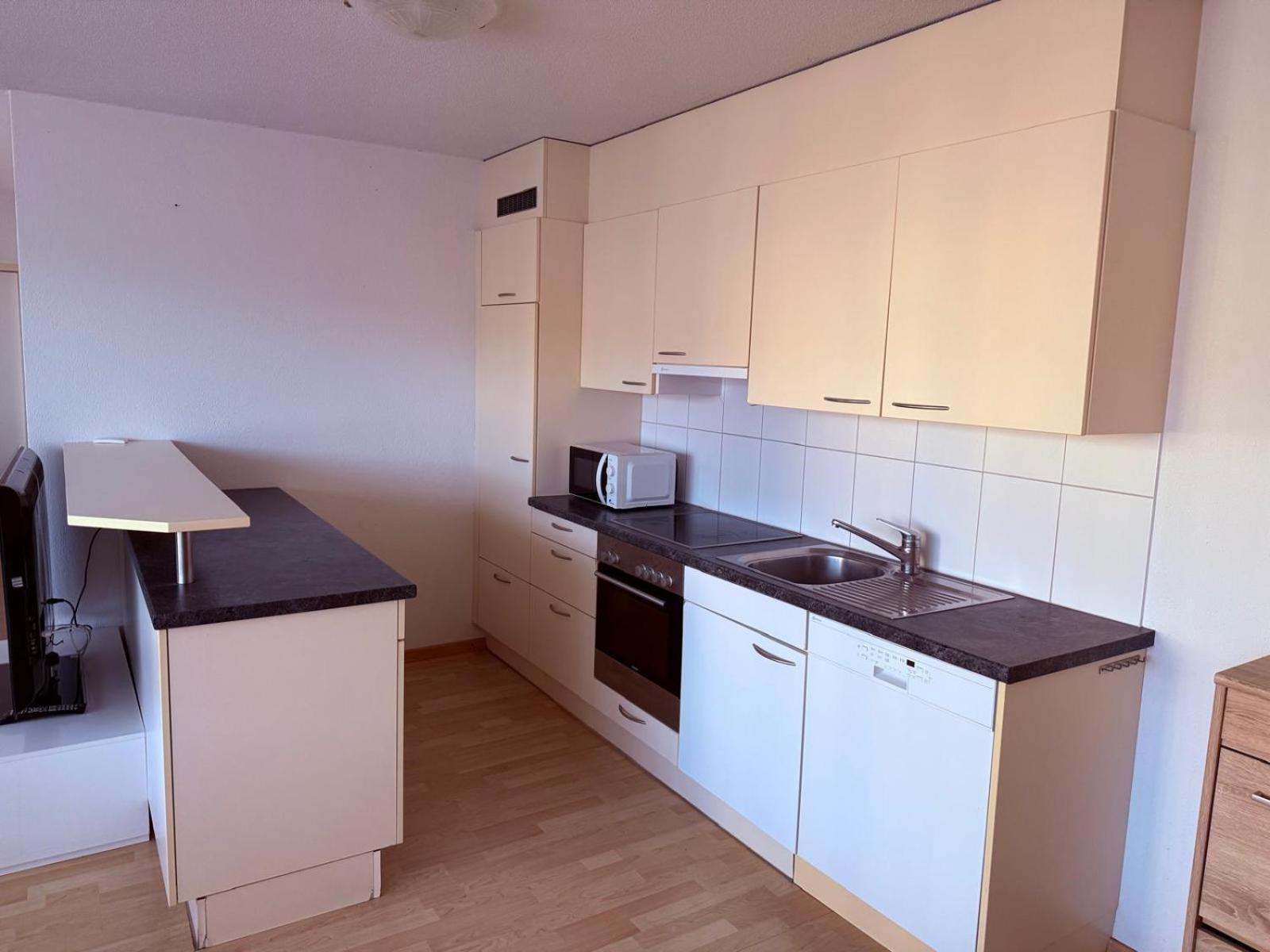 Sass Aparthotel Schonenwerd Екстер'єр фото